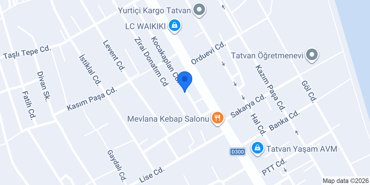 Tatvan ütü tost konumu