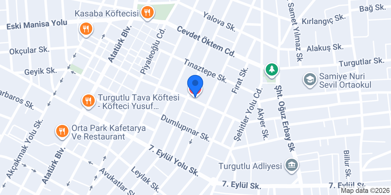 Turgutlu Birlik Veteriner konumu