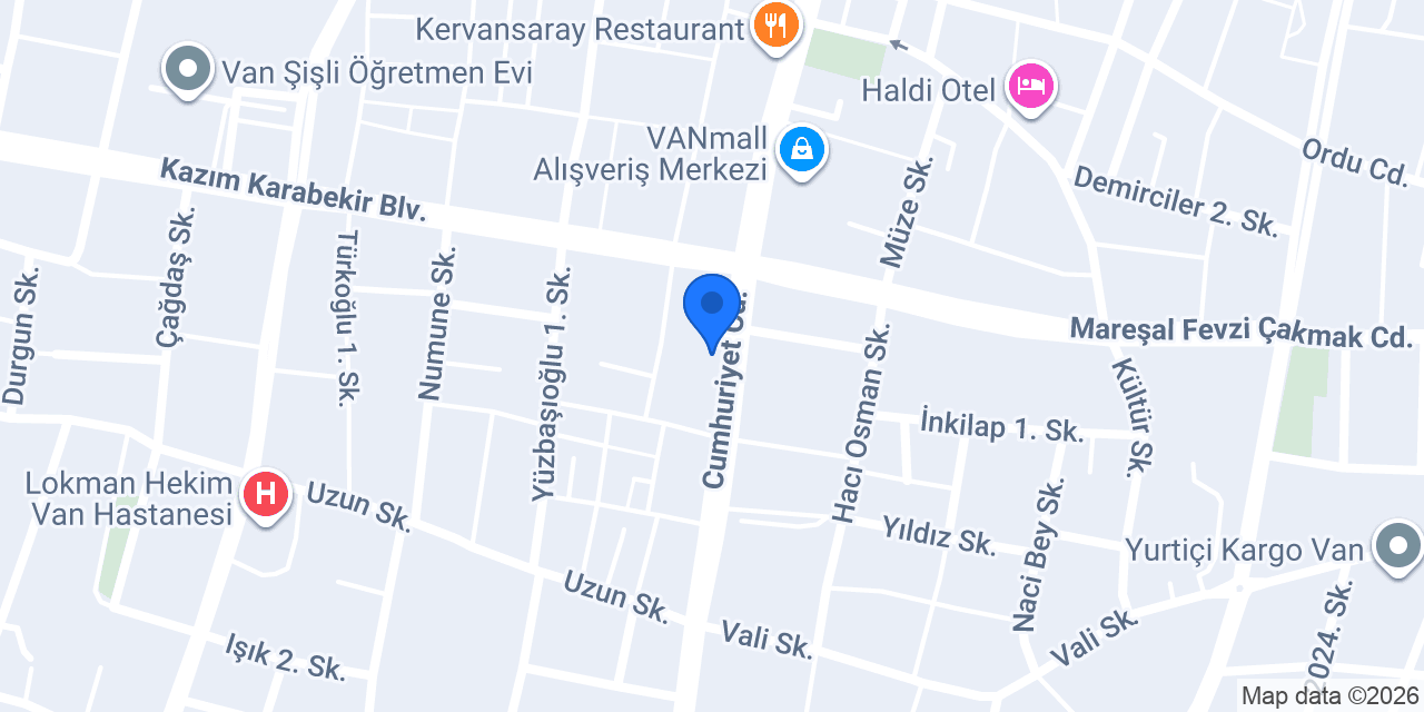 VAN OTO KİRALAMA EKOL konumu