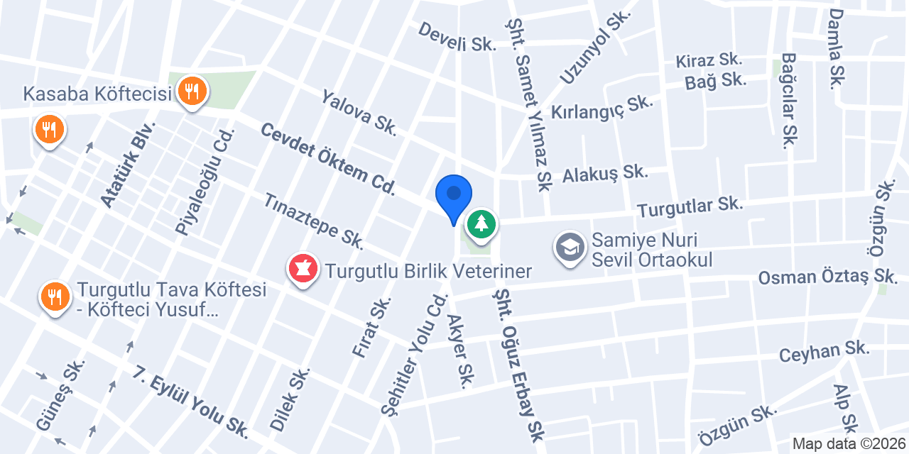 BÖREKÇİ konumu