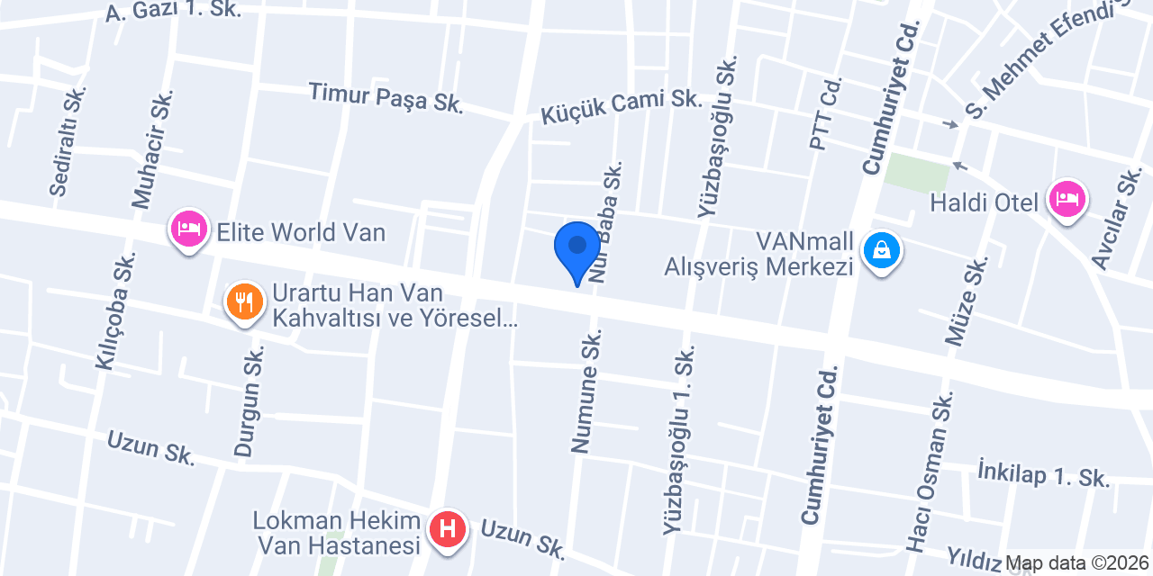 CTRLVAN Bilisim konumu