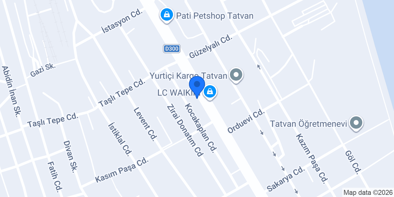 Koton konumu