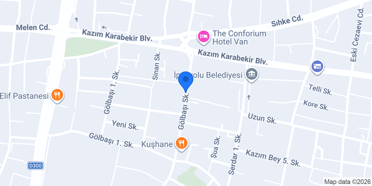 Van Dfm danışmanlık konumu