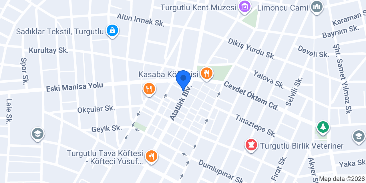 Western Union konumu