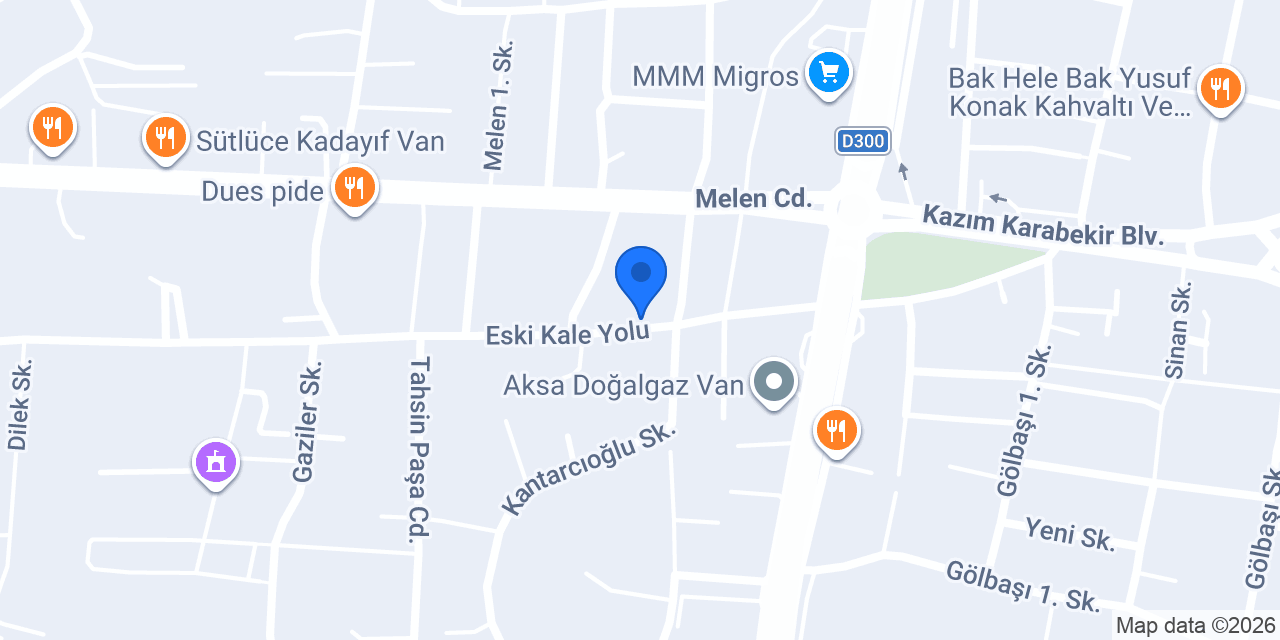 Van Pirireis Mesleki ve Teknik Anadolu Lisesi konumu
