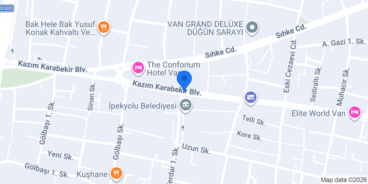 Van En-e Psikoteknik Emin Buğra Yoldaş konumu