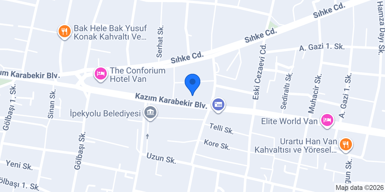Clinic Van Fizyoterapi ve Danışmanlık konumu