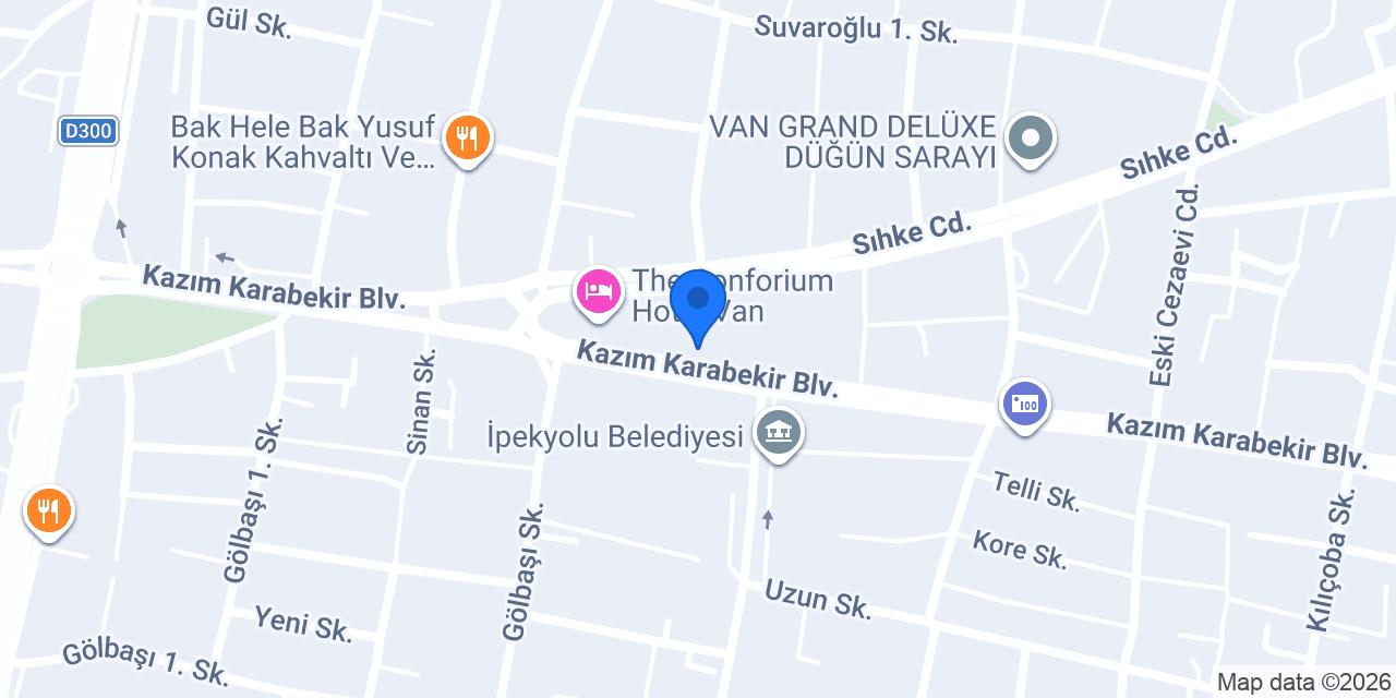 Fizyoterapist Evin Çelik konumu