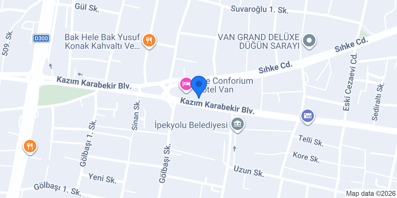 Van Psikiyatri Uzmanı konumu