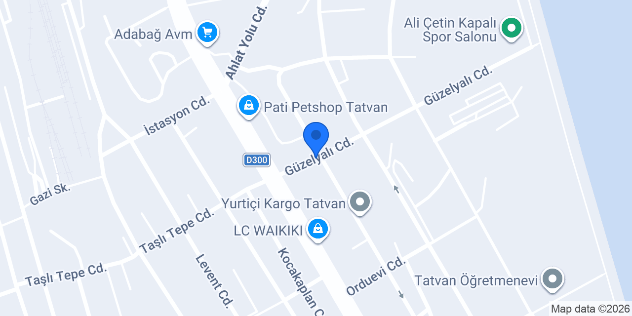 Tatvan Bilim ve Sanat Merkezi konumu