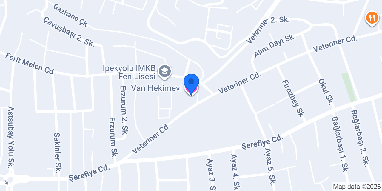 Van Hekimevi konumu