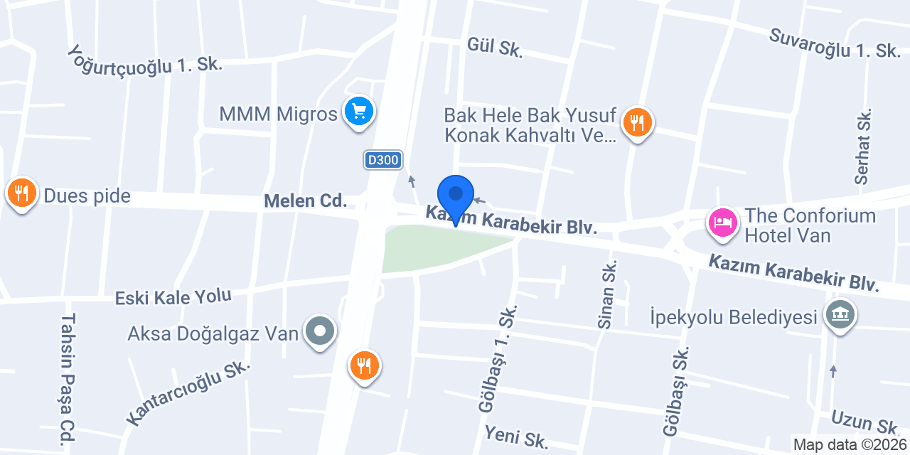Van Prof Koltuk Yıkama konumu