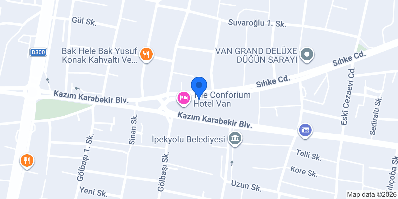 Bufalo burger van konumu
