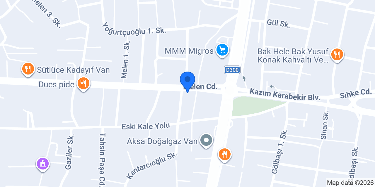 Van Çocuk Koleji Anaokulu konumu