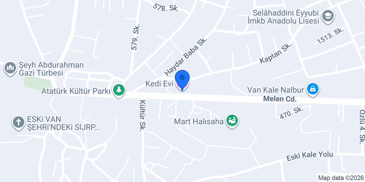 Kedi Evi konumu