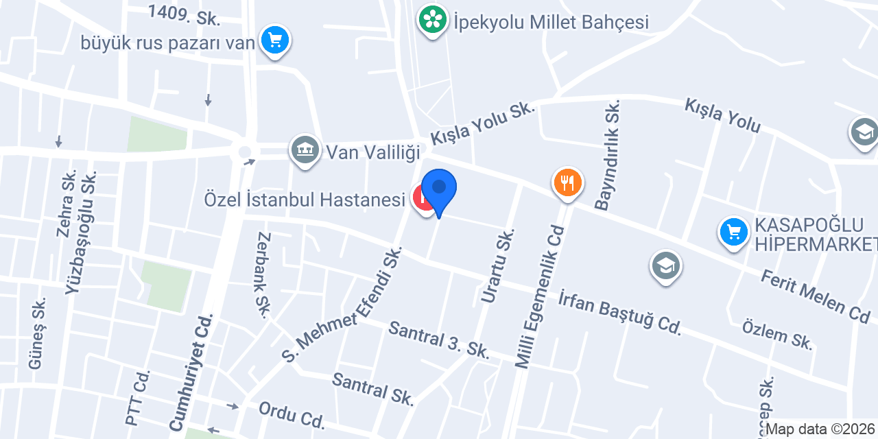 SBÜ VAN EAH İPEKYOLU EK BİNASI konumu
