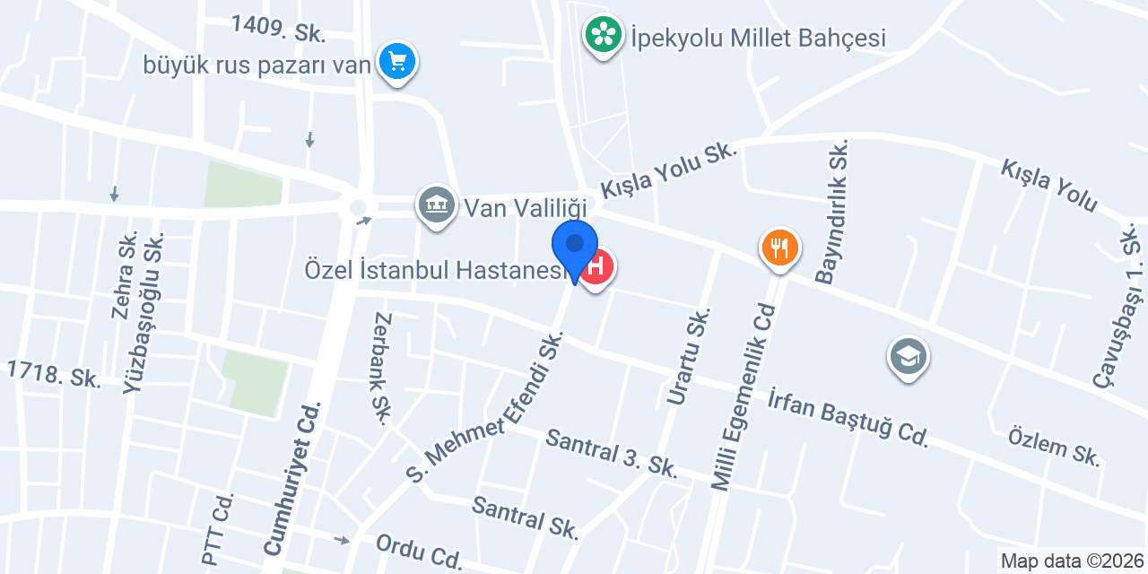 Van merkez İpekyolu taksi konumu