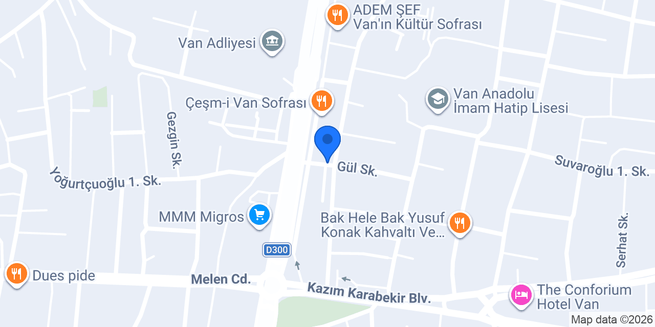 DT MİMARLIK VAN BRANCH konumu