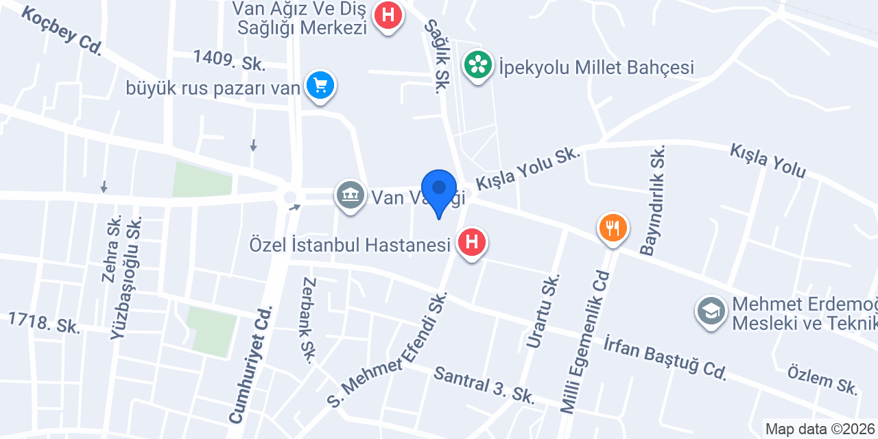 VAN ALÇI BOYACI USTASI konumu