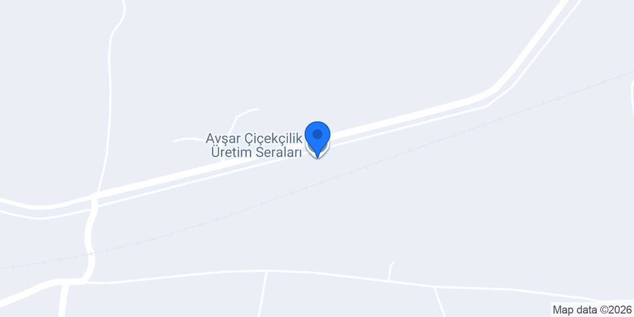Avşar Çiçekçilik Üretim Seraları konumu