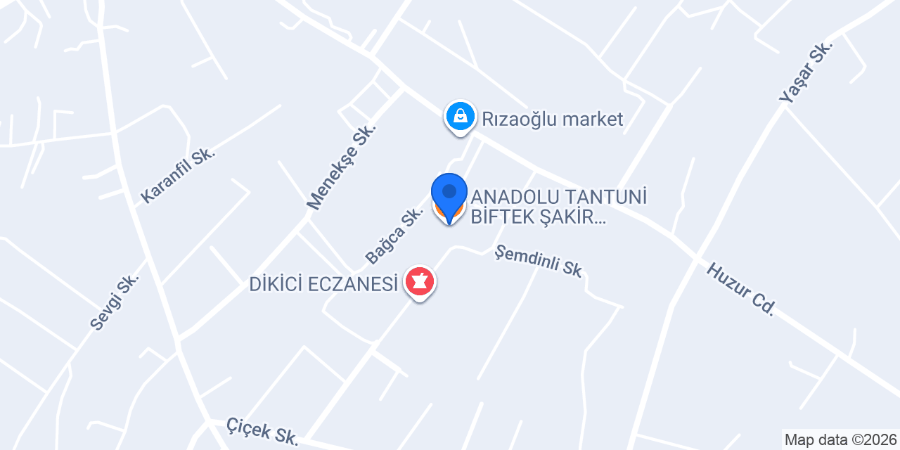 ANADOLU TANTUNİ BİFTEK ŞAKİR USTANIN YERİ konumu