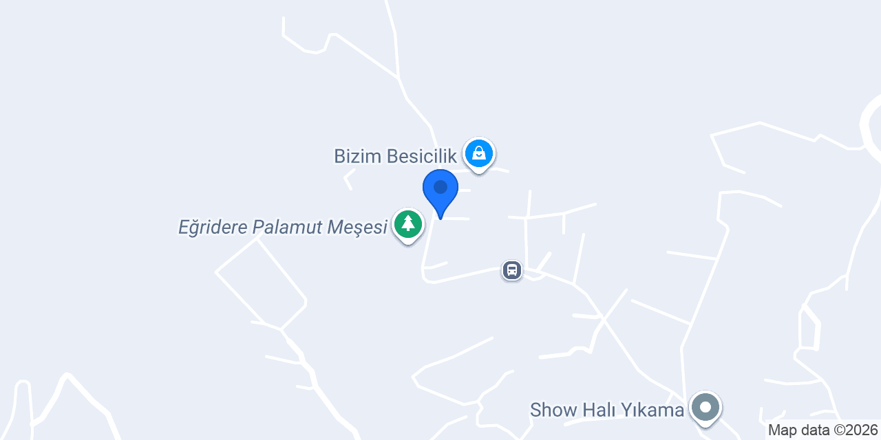 Titiz halı yıkama konumu