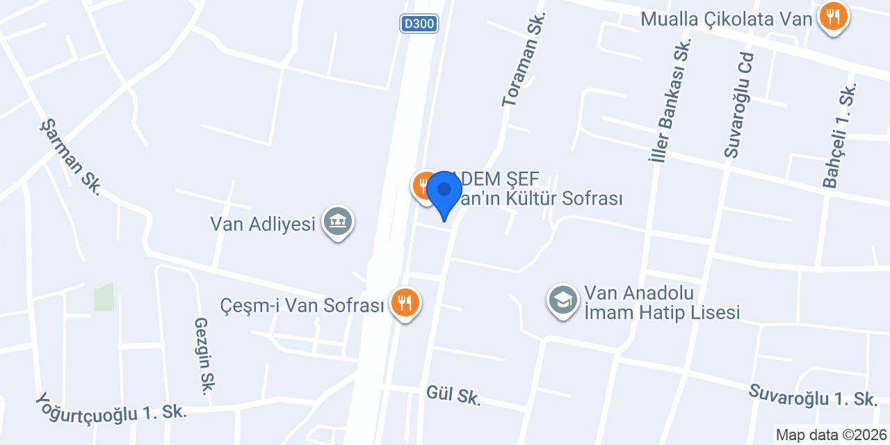 Doç Dr Mesut Işık, Van Psikiyatri konumu