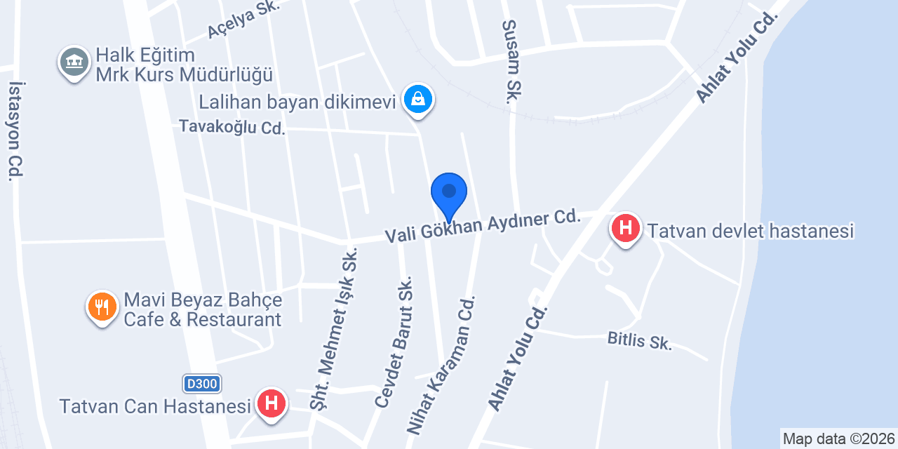 Tatvan Pide Lahmacun Salonu konumu