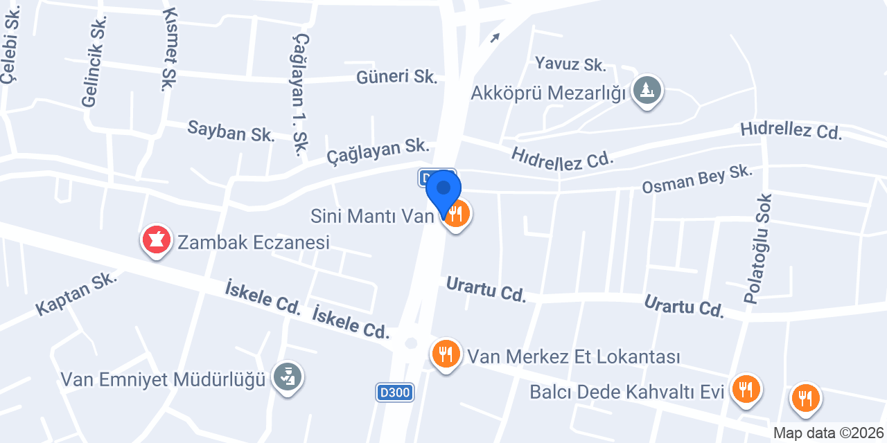 Dünya organizasyon konumu