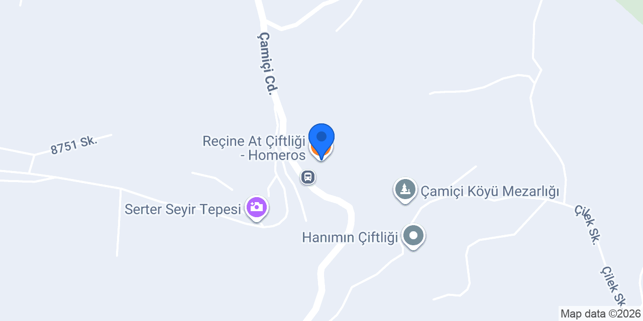 Reçine At Çiftliği - Homeros konumu