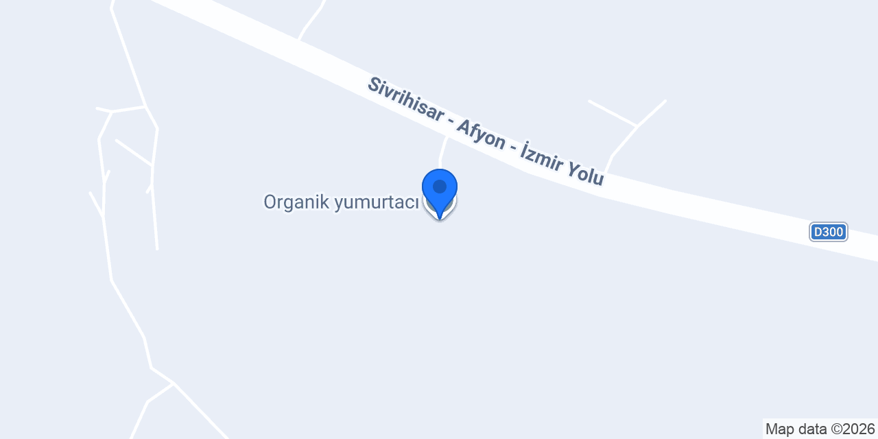 Organik yumurtacı konumu
