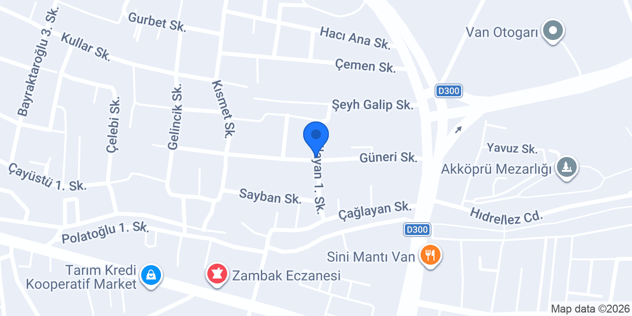 gallerist Carwash konumu