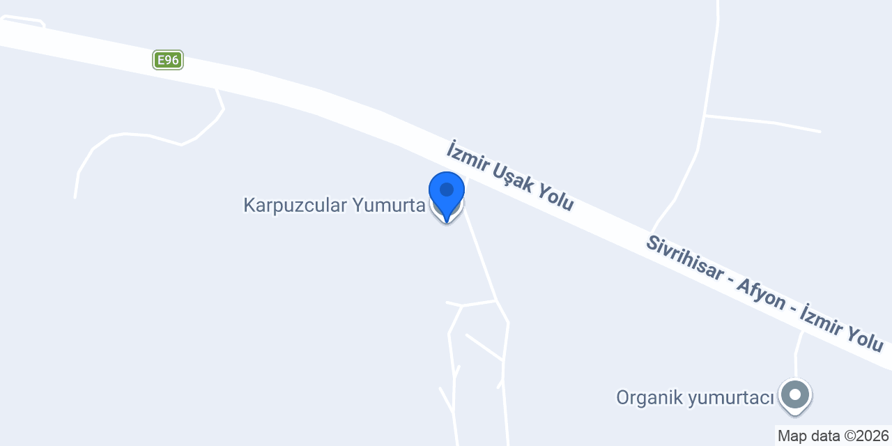 Karpuzcular Yumurta konumu