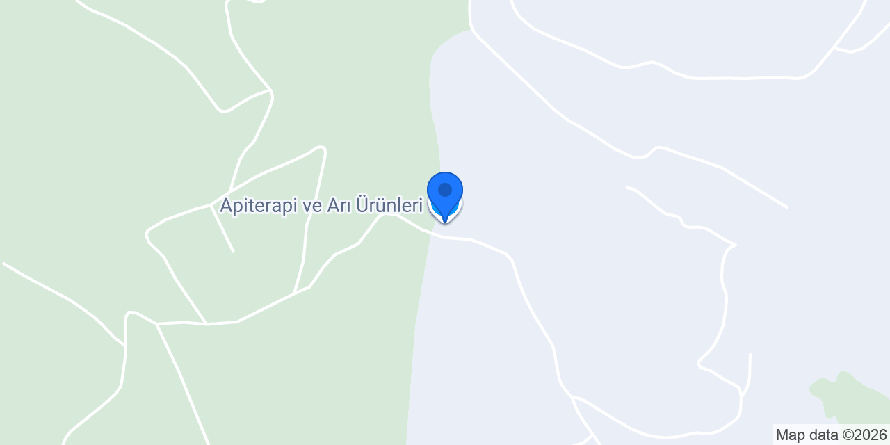 Apiterapi ve Arı Ürünleri konumu