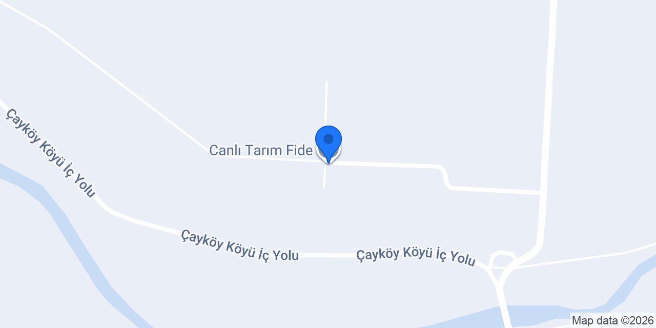 Canlı Tarım Fide konumu