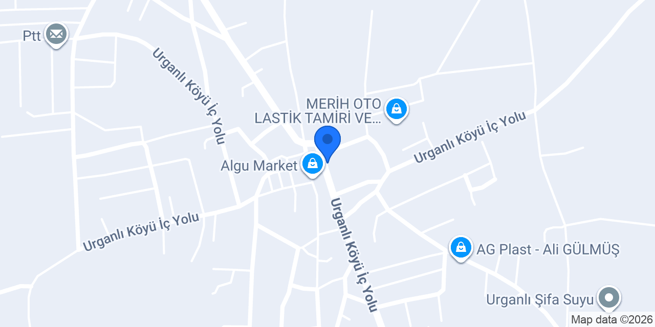 Yağmur Salamura Yaprak konumu