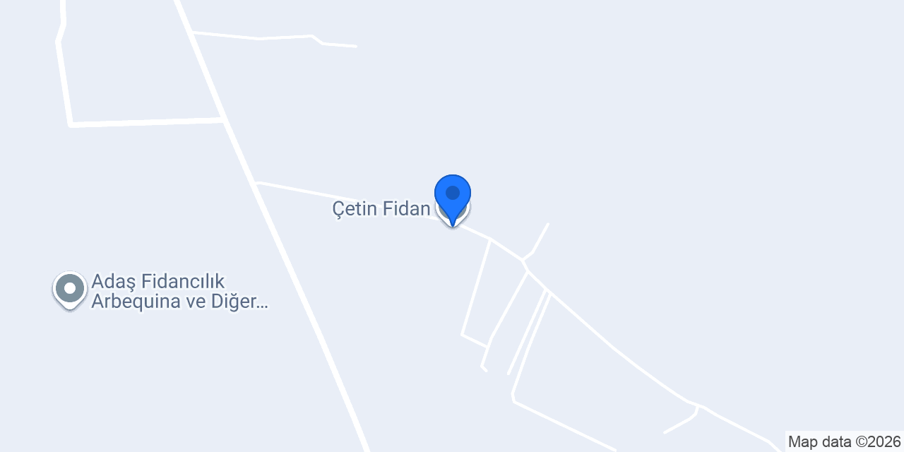 Çetin Fidan konumu