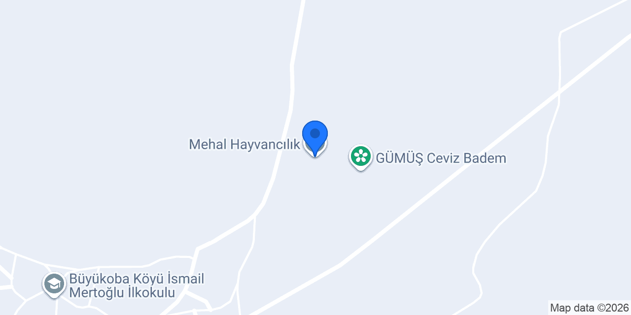 Mehal Hayvancılık konumu