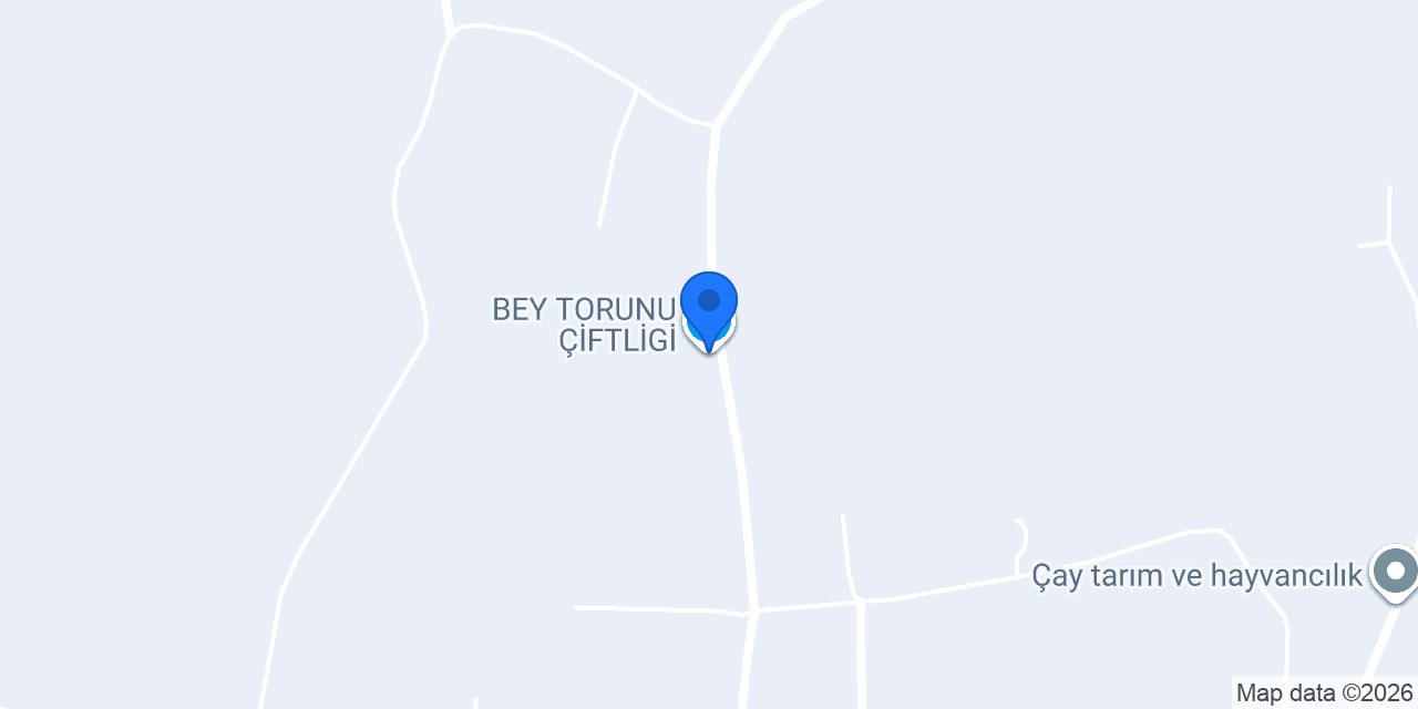 BEY TORUNU ÇİFTLİGİ konumu