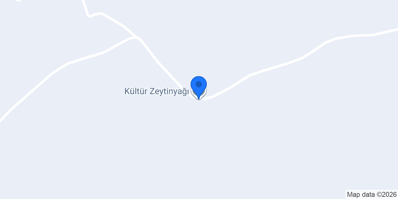 Kültür Zeytinyağı konumu