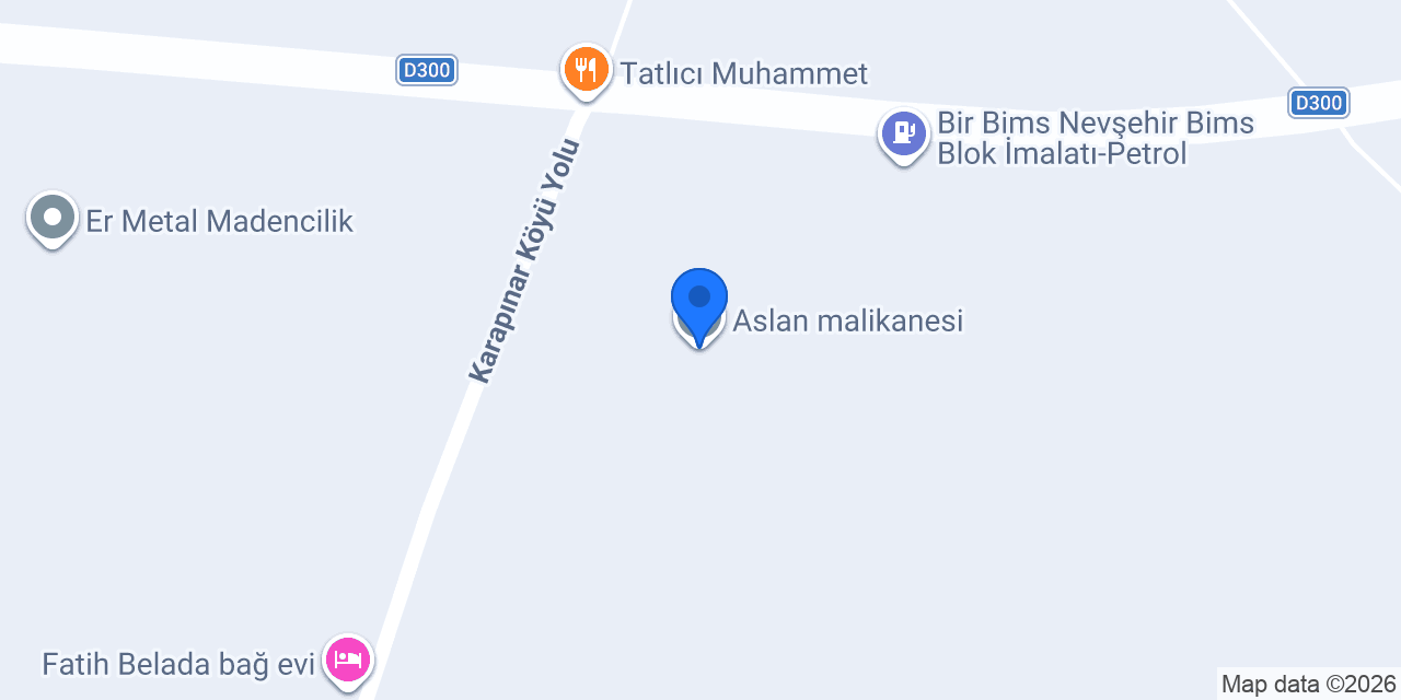 Aslan malikanesi konumu
