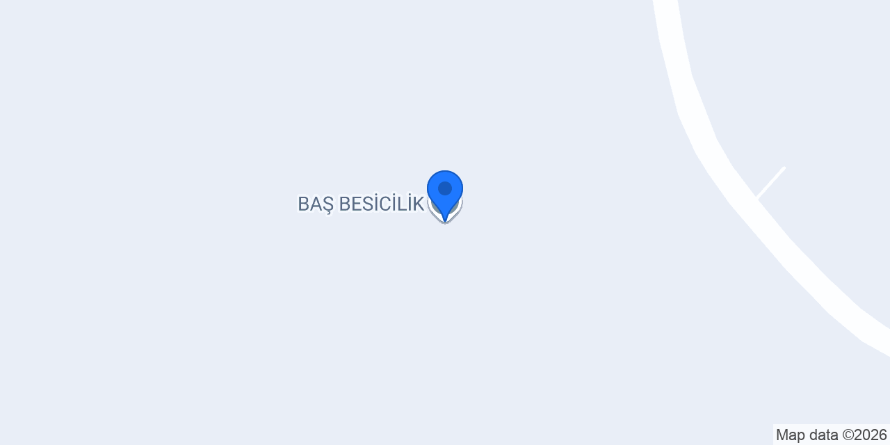 BAŞ BESİCİLİK konumu