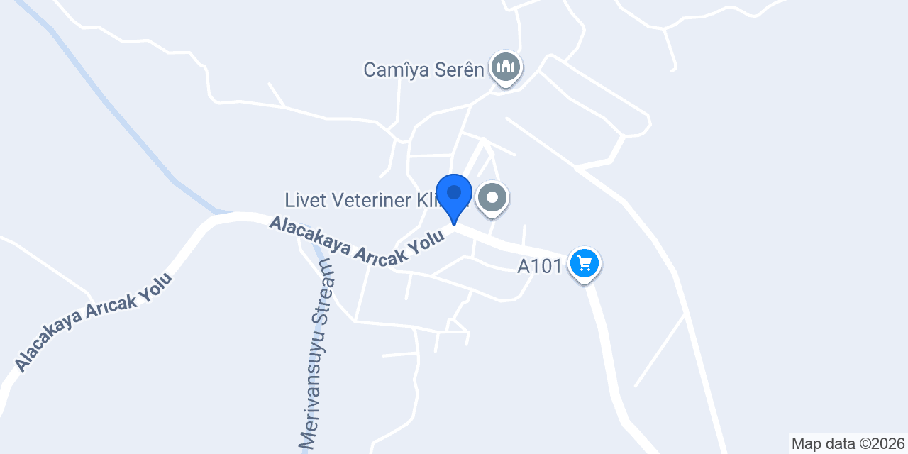 Ptt konumu