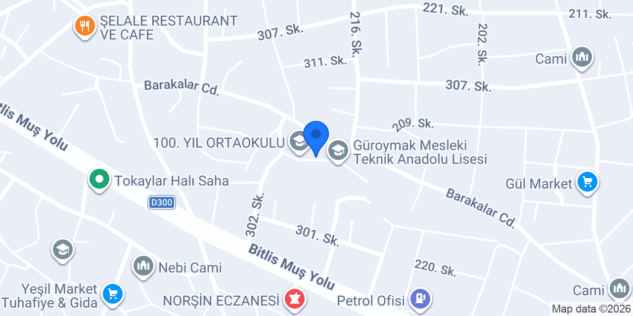 Kız Teknik Ve Meslek Lisesi konumu