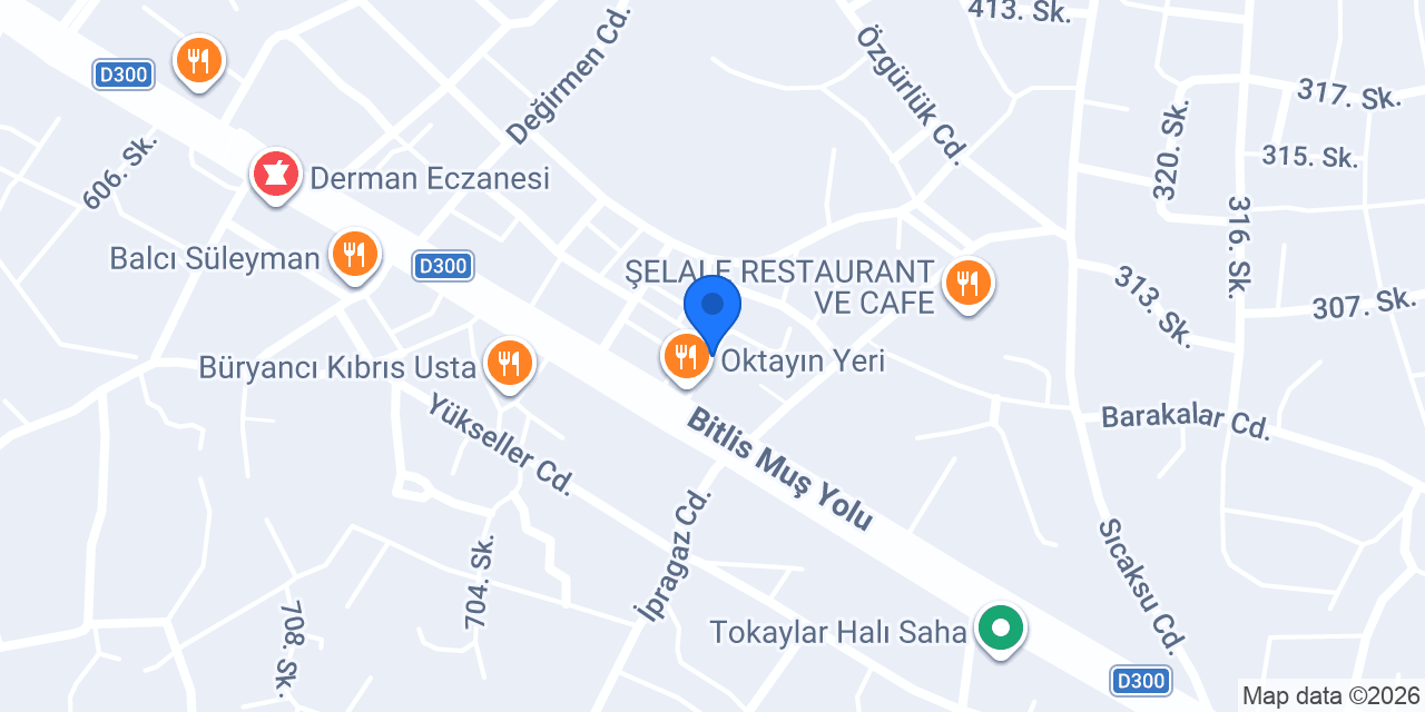 gökçe aktar konumu