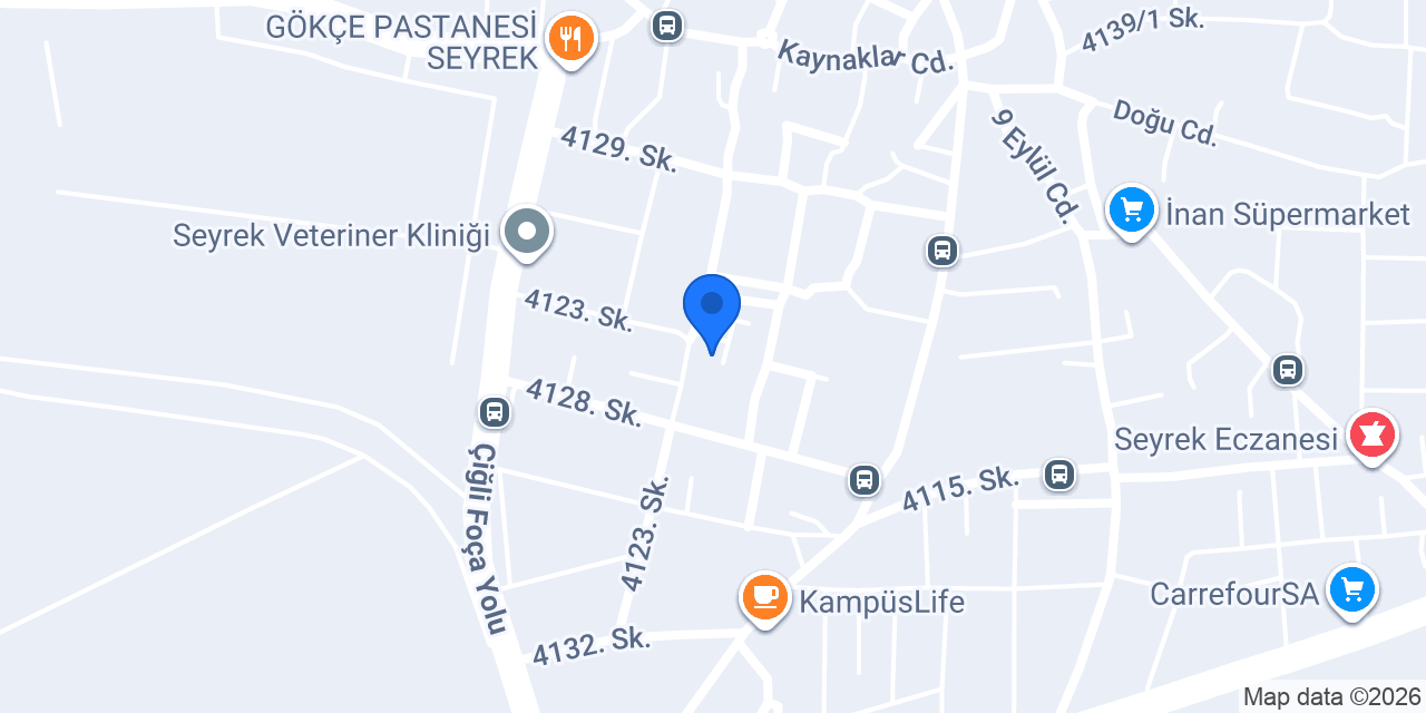 Erkek Berberi konumu