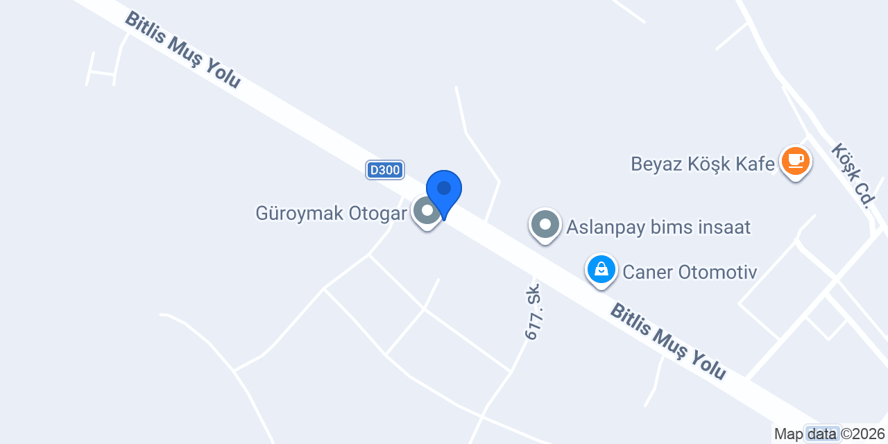 Öz Diyarbakır konumu