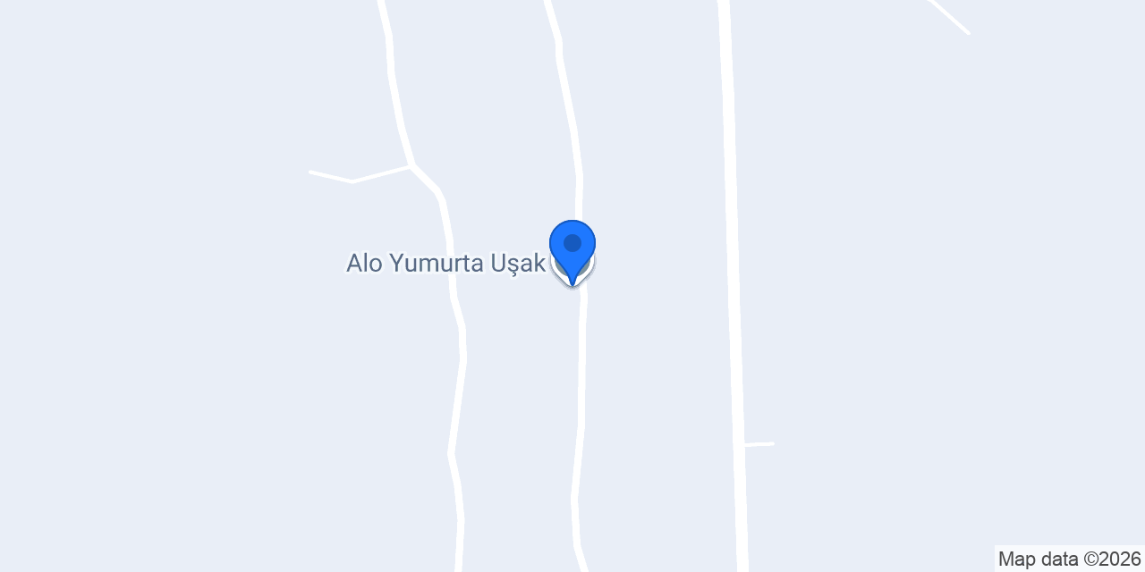 Alo Yumurta Uşak konumu