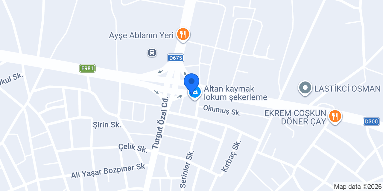 Altan Park Dinlenme Tesisi konumu