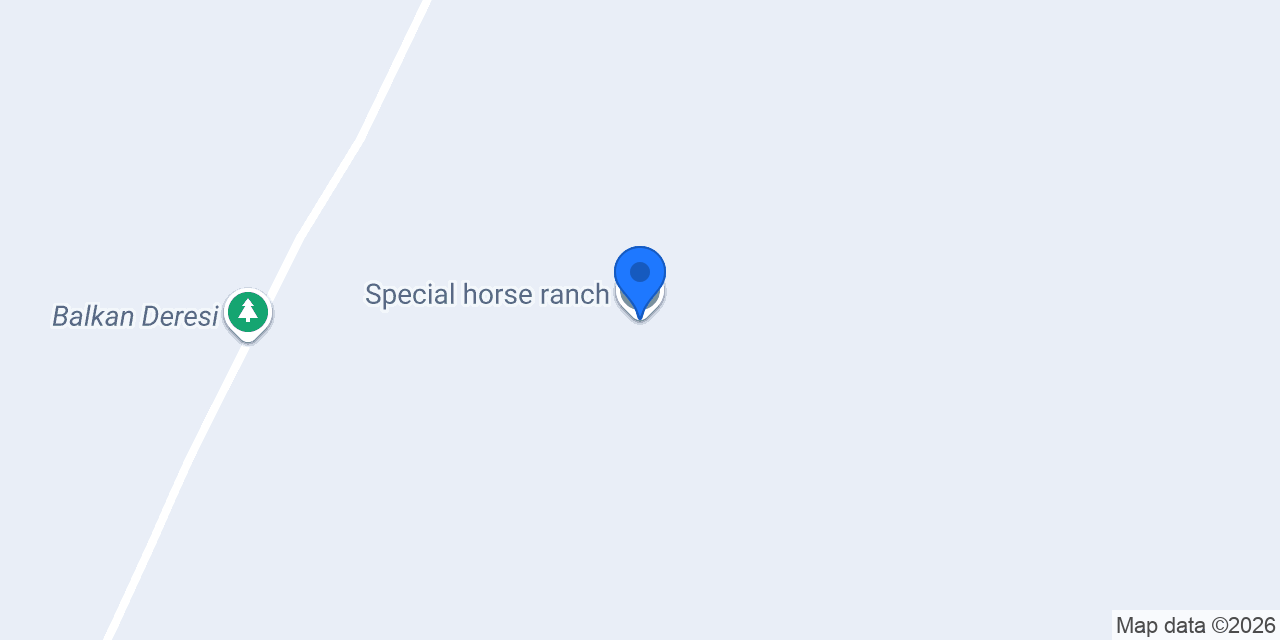 Special horse ranch konumu